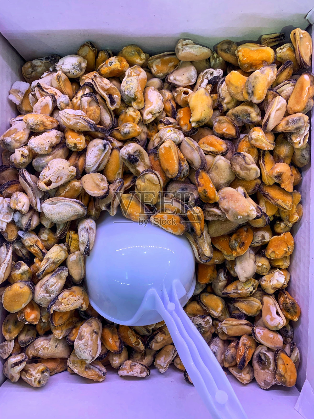 冷冻海鲜照片摄影图片