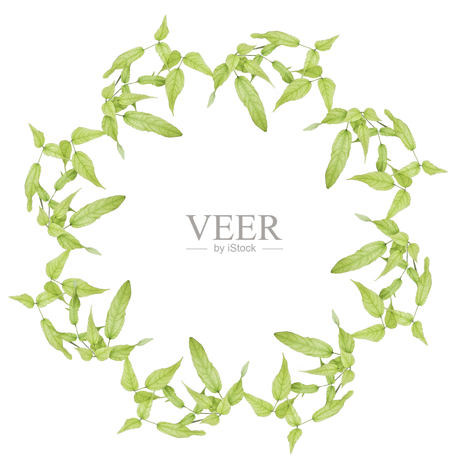 春天树叶花环照片摄影图片