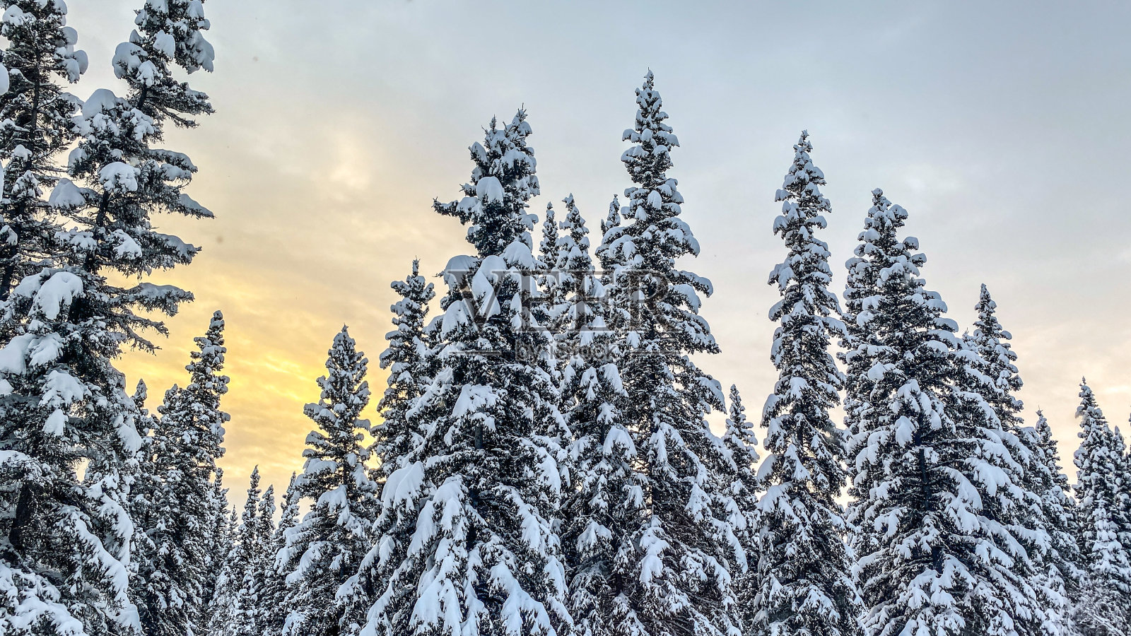 阿拉斯加冬季的日出照片摄影图片