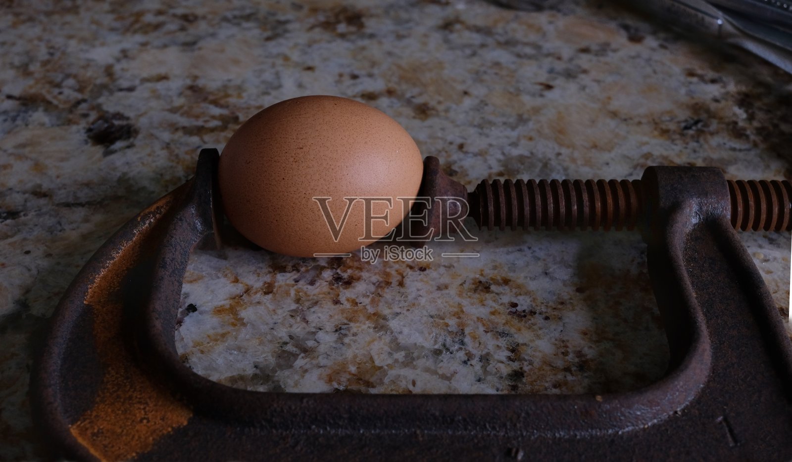 脆弱的照片摄影图片