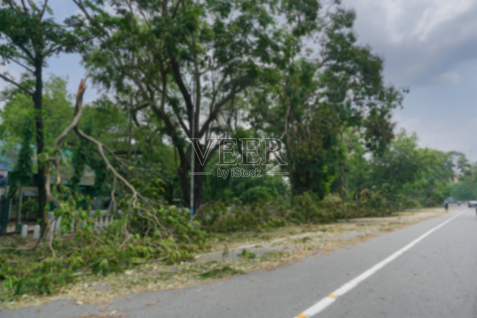 印度西孟加拉邦加尔各答的模糊图像。超强气旋“安菲”将倒下的树连根拔起，堵塞了人行道。破坏已使许多树倒在地上。气候变化。照片摄影图片