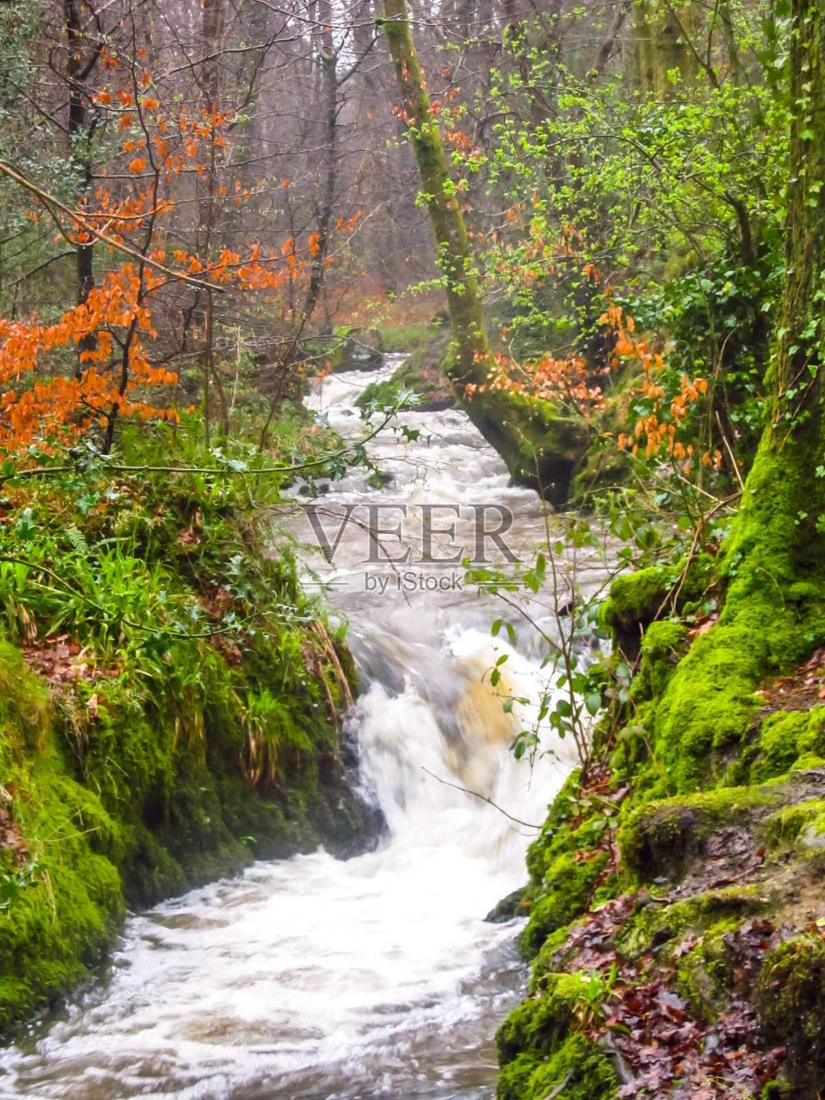 在英国湖区的林地中，一条湍急的小溪流中的小急流。湖区位于英格兰西北部坎布里亚郡的山区，是英格兰u2019年最大的国家公园照片摄影图片
