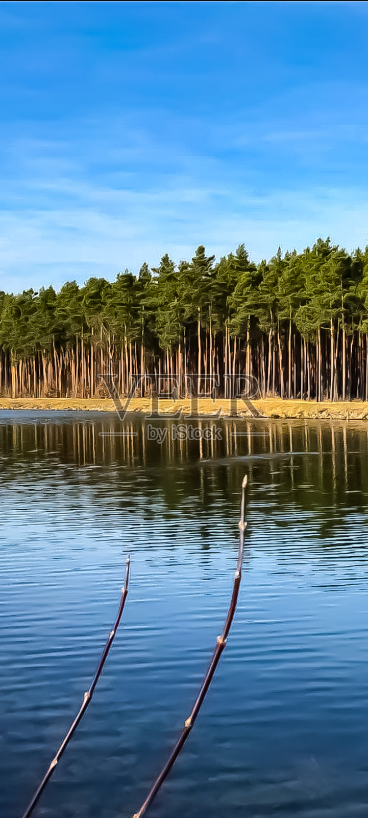 自然-在一片水域上照片摄影图片
