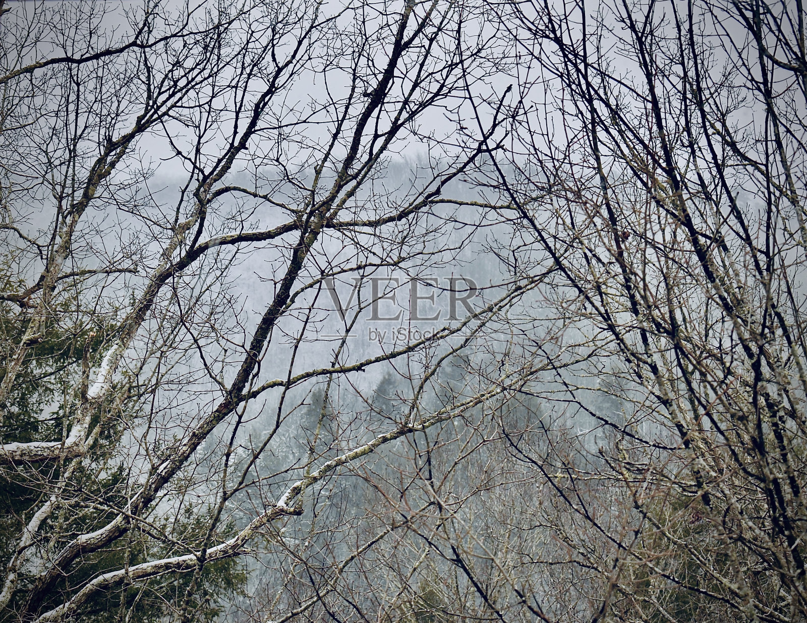 山景透过云照片摄影图片