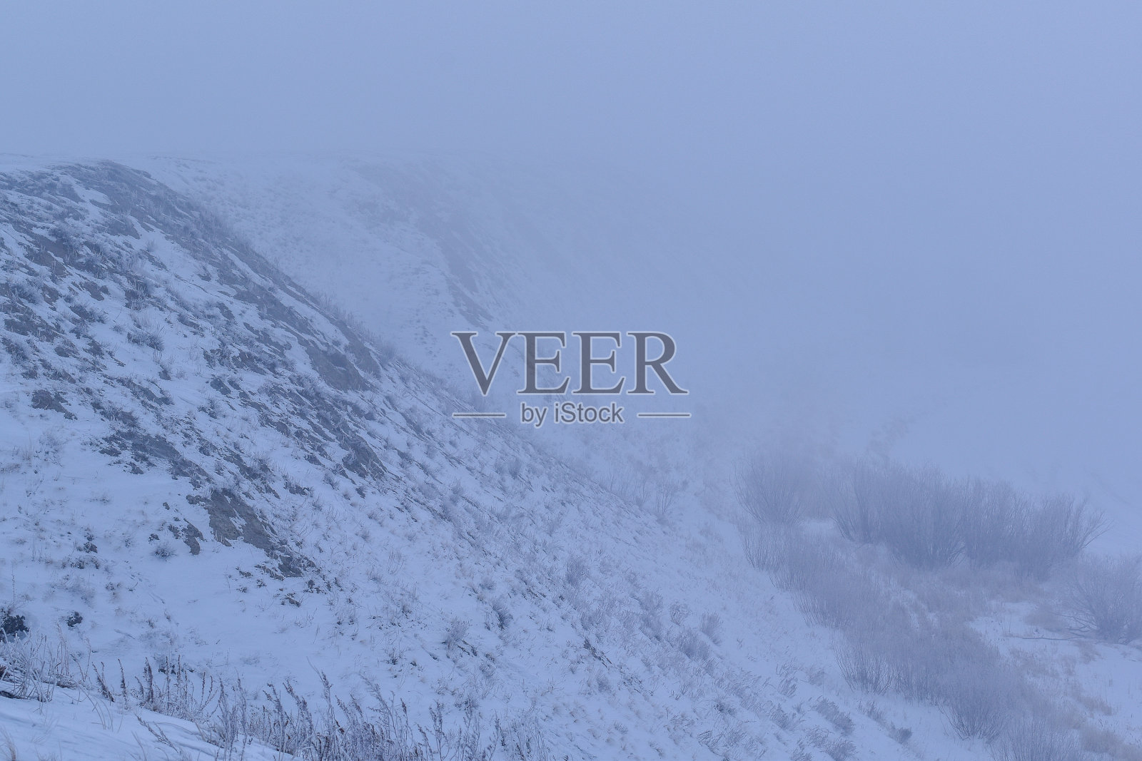 一个雾气蒙蒙的冬天清晨，在陡峭的河岸上。冬天的风景照片摄影图片