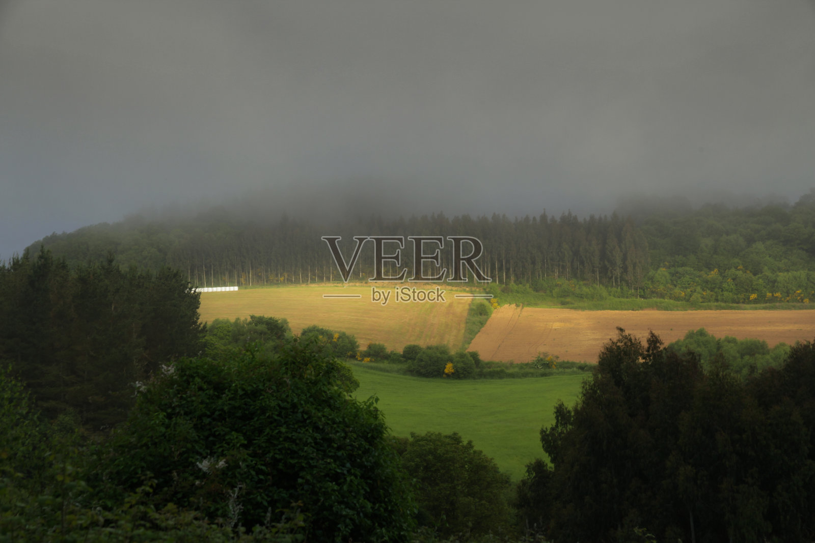 一缕阳光穿过浓雾照片摄影图片