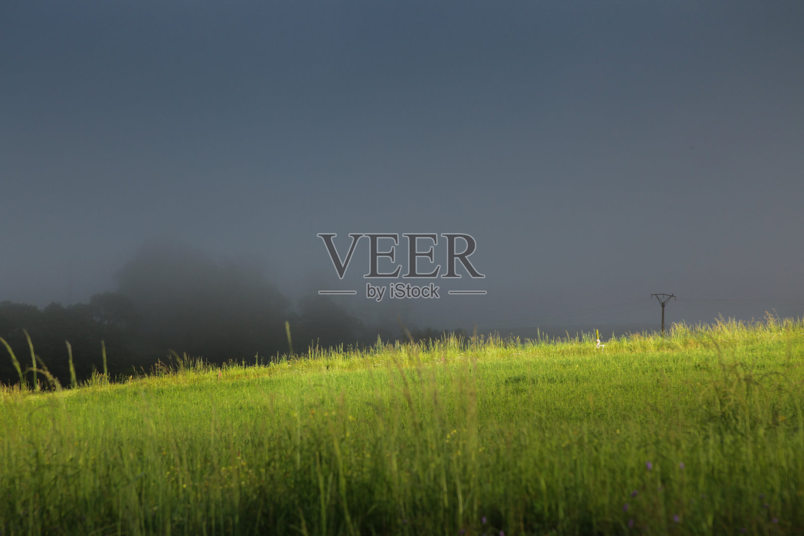 阳光草地照片摄影图片