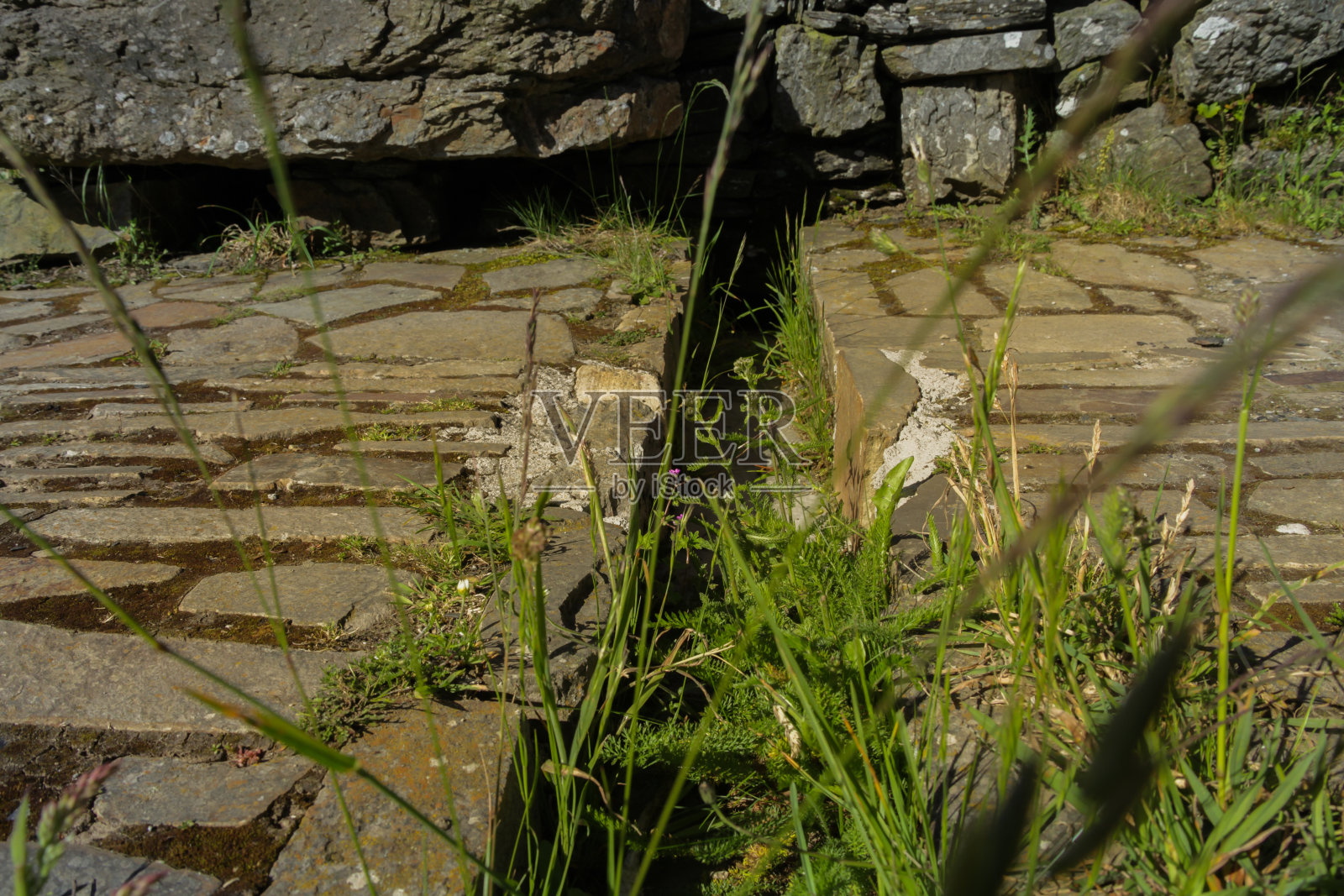 一个天主教修道院的废墟上的排水沟照片摄影图片