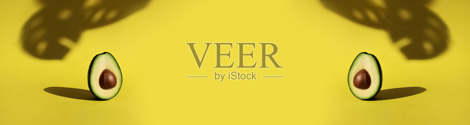 横幅上的两个切下来的鳄梨水果站在黄色的背景和怪物的叶子阴影照片摄影图片