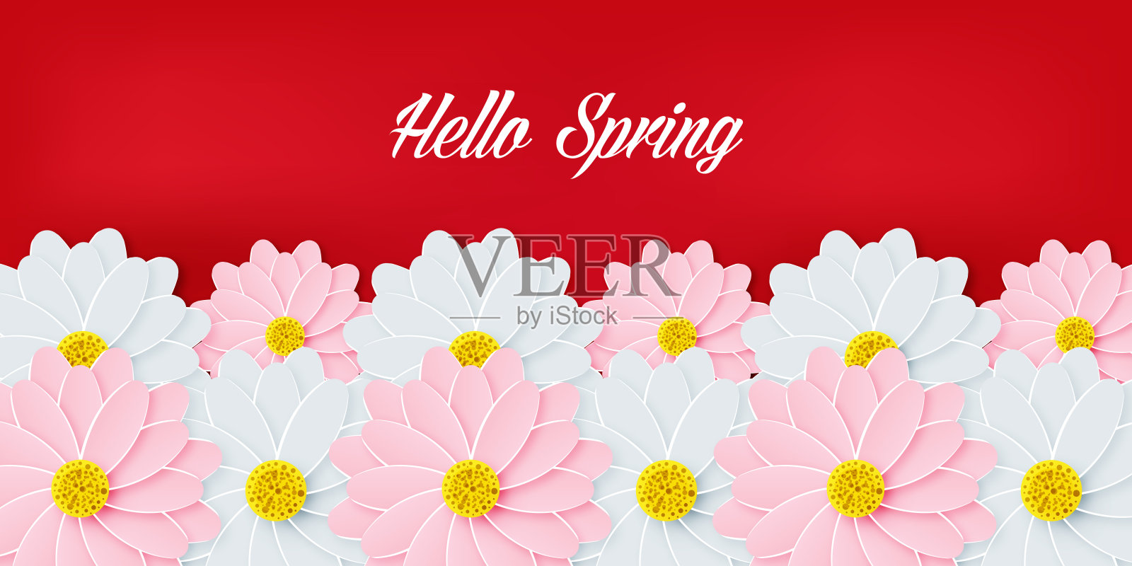 Hello Spring横幅或通讯标题。粉红色和白色的现实的雏菊花。花卉设计壁纸插画图片素材