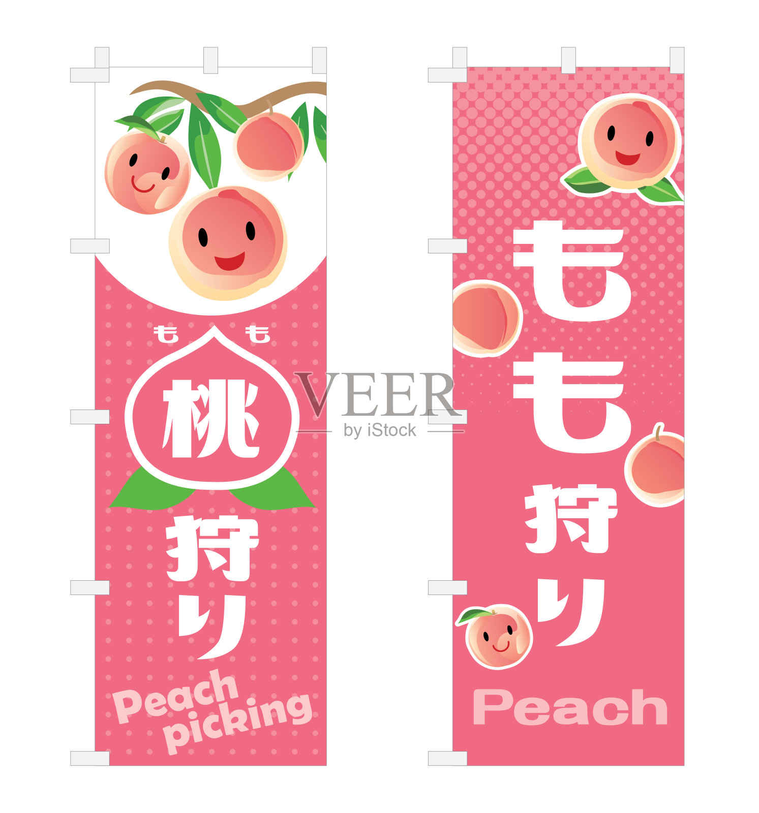 集插图的旗子桃采摘和日文信。插画图片素材