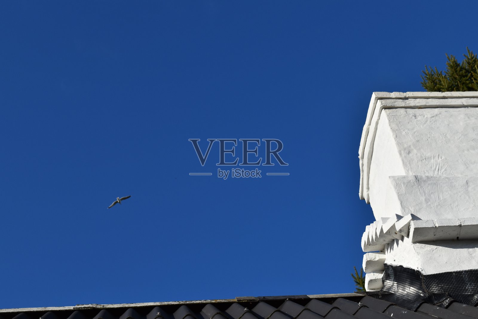 一个新修复的旧烟囱和一只飞翔的海鸥的低角度视图。照片摄影图片