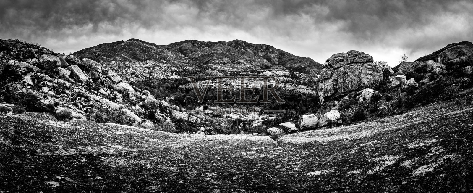 生动的窗全景照片摄影图片