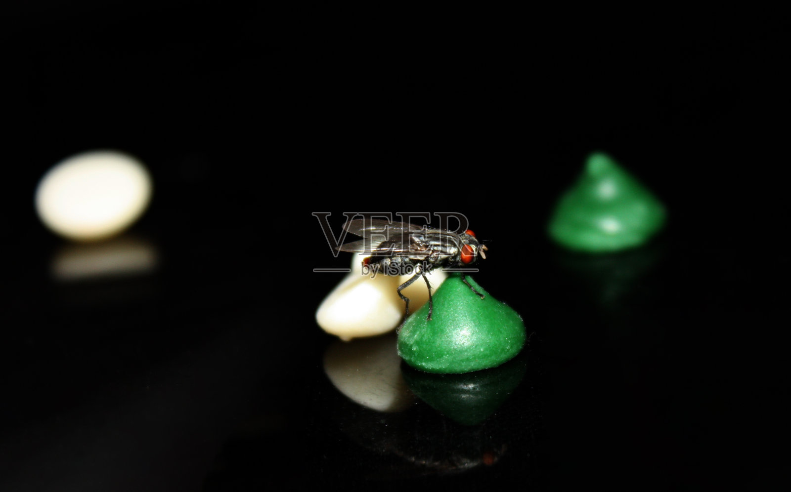 飞照片摄影图片