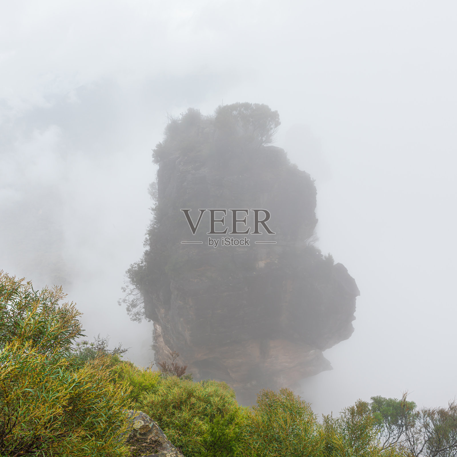 多雾的早晨照片摄影图片