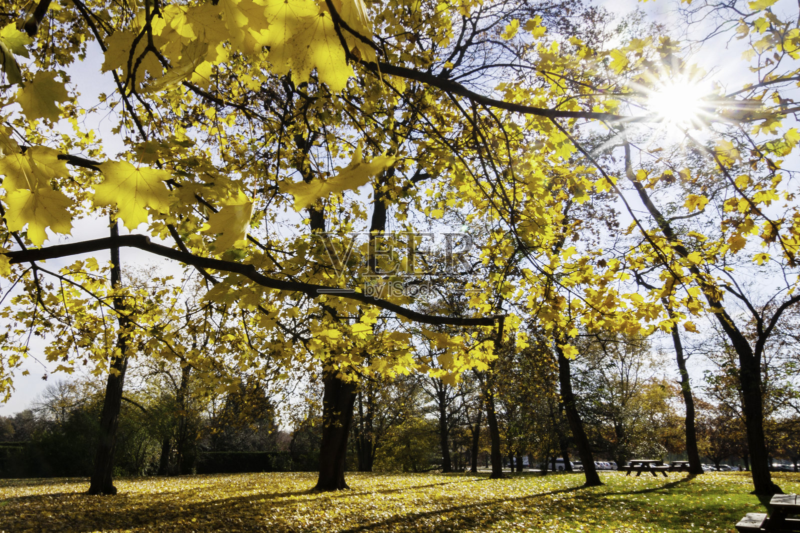秋天的美丽照片摄影图片