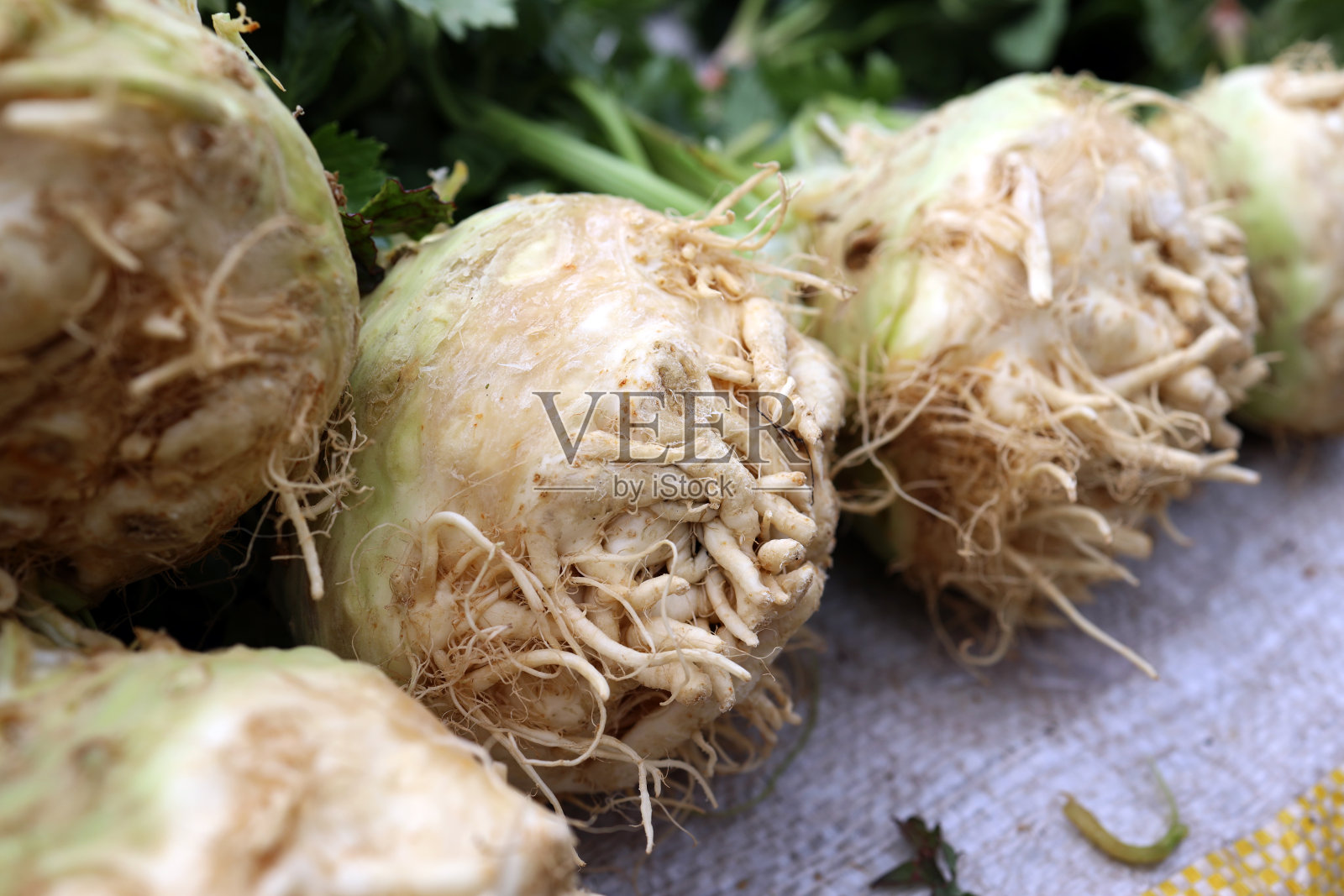 农贸市场的芹菜根块根蔬菜照片摄影图片