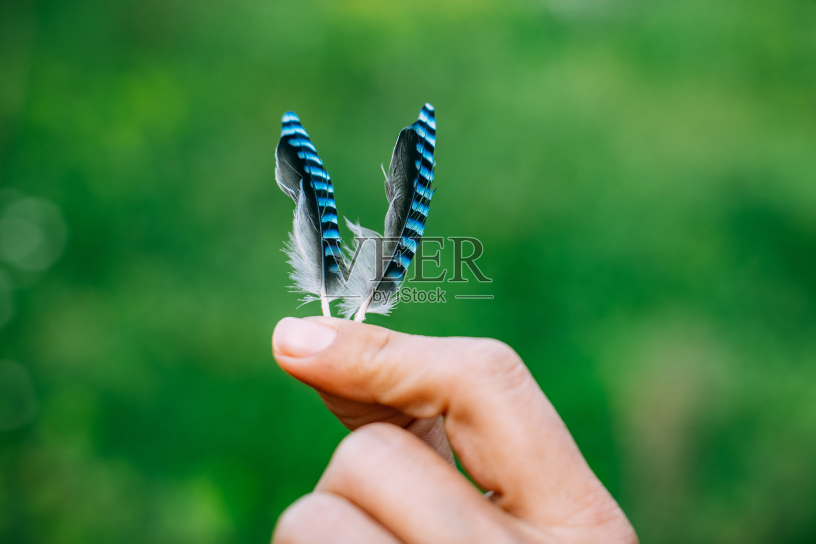 特写镜头女人手里拿着一根羽毛照片摄影图片