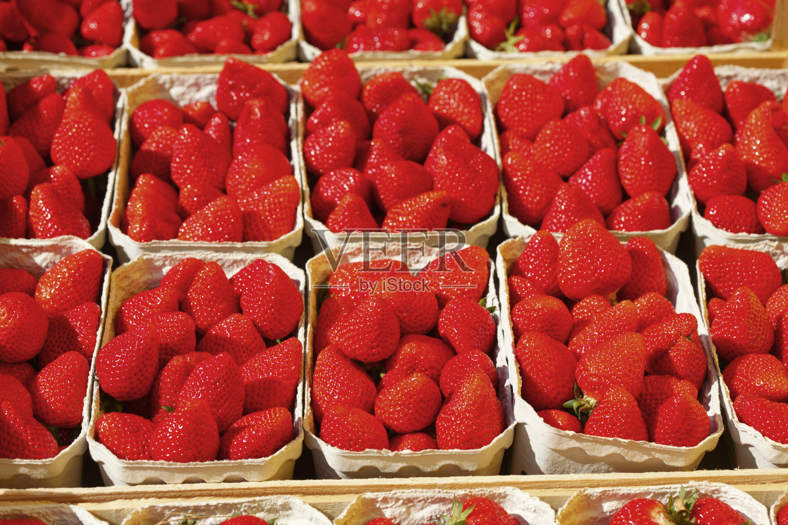 埃尔德比伦照片摄影图片