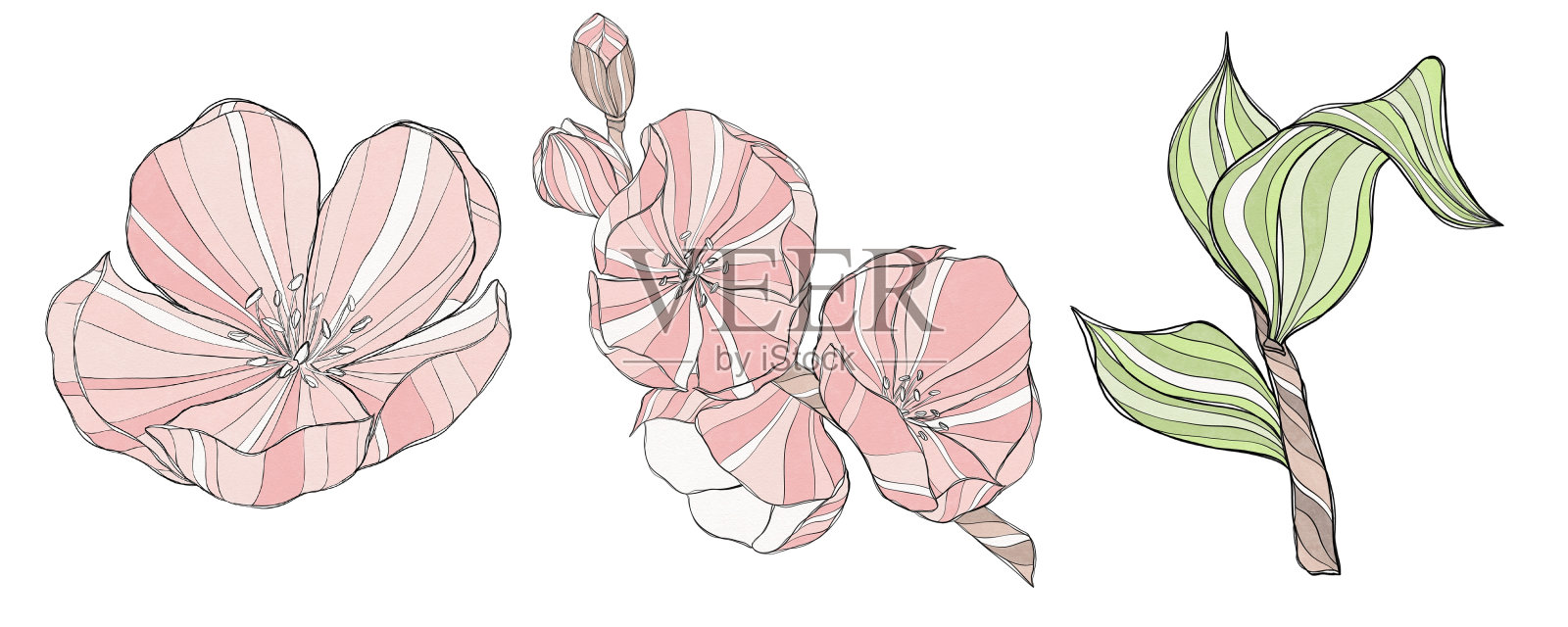 樱花和树枝的装饰插图在粉红色的白色背景插画图片素材