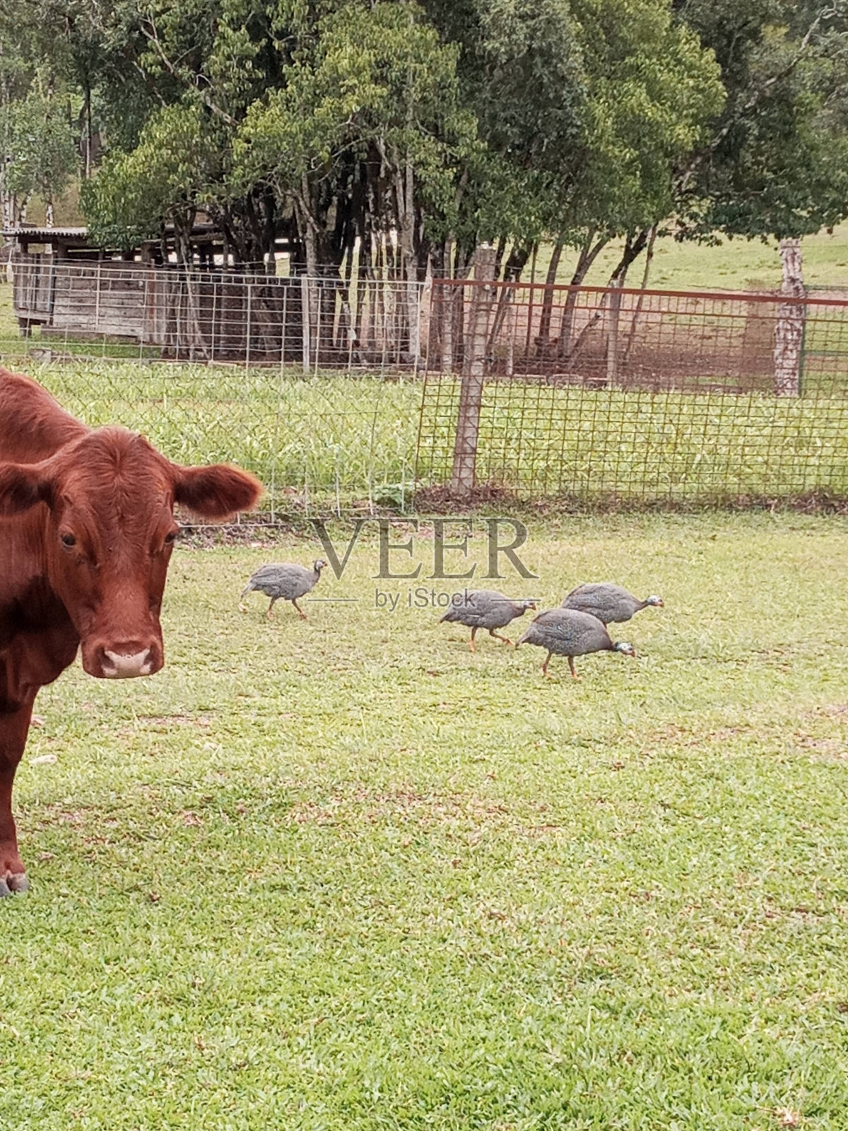 景观照片摄影图片
