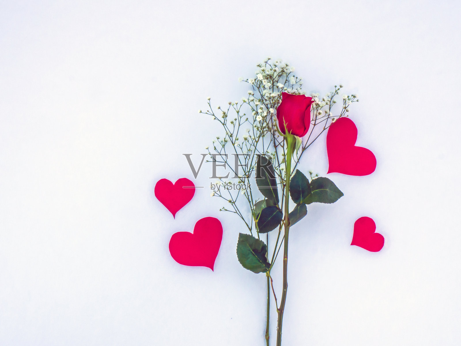 雪里的纸心红玫瑰照片摄影图片