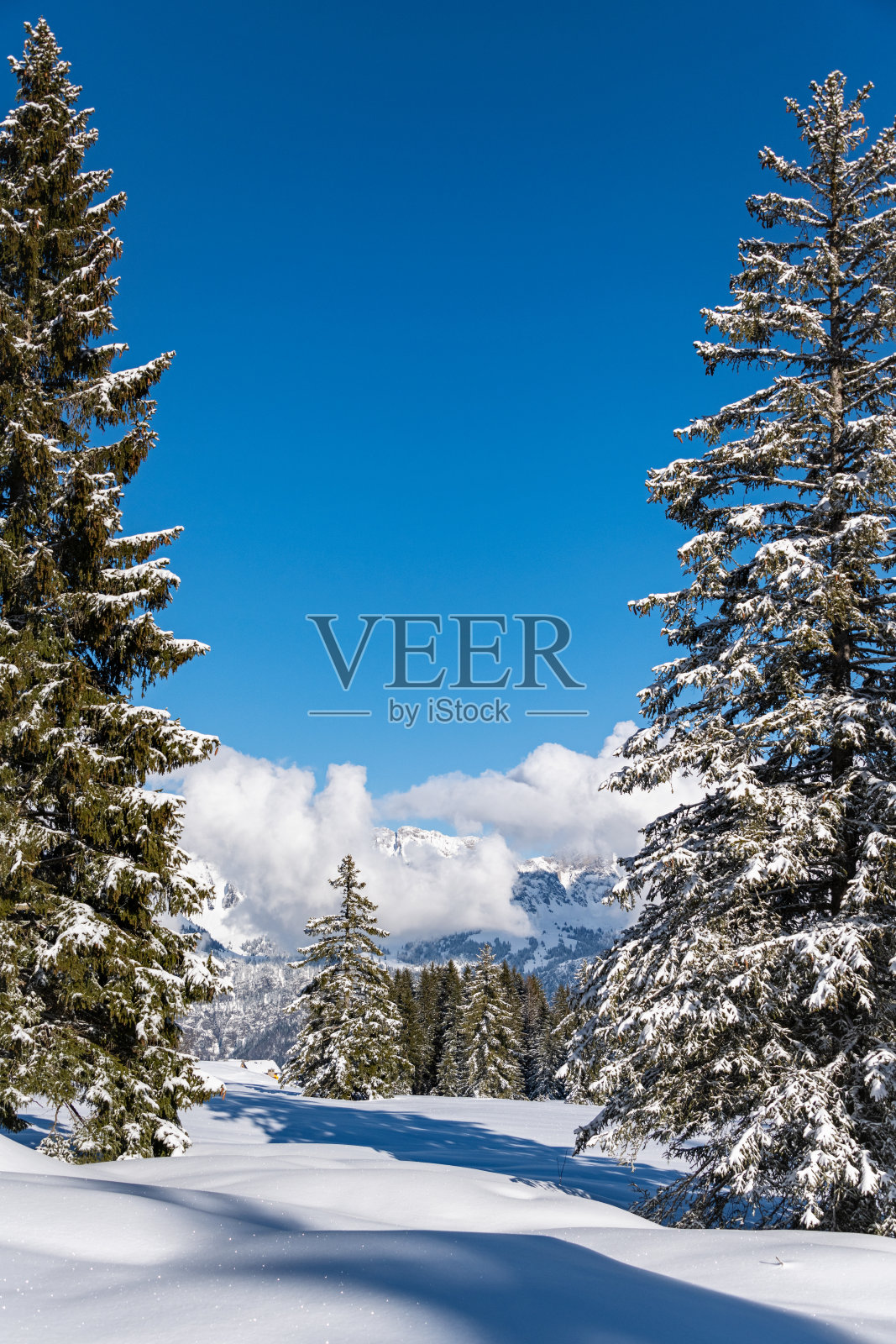 冬天的风景照片摄影图片