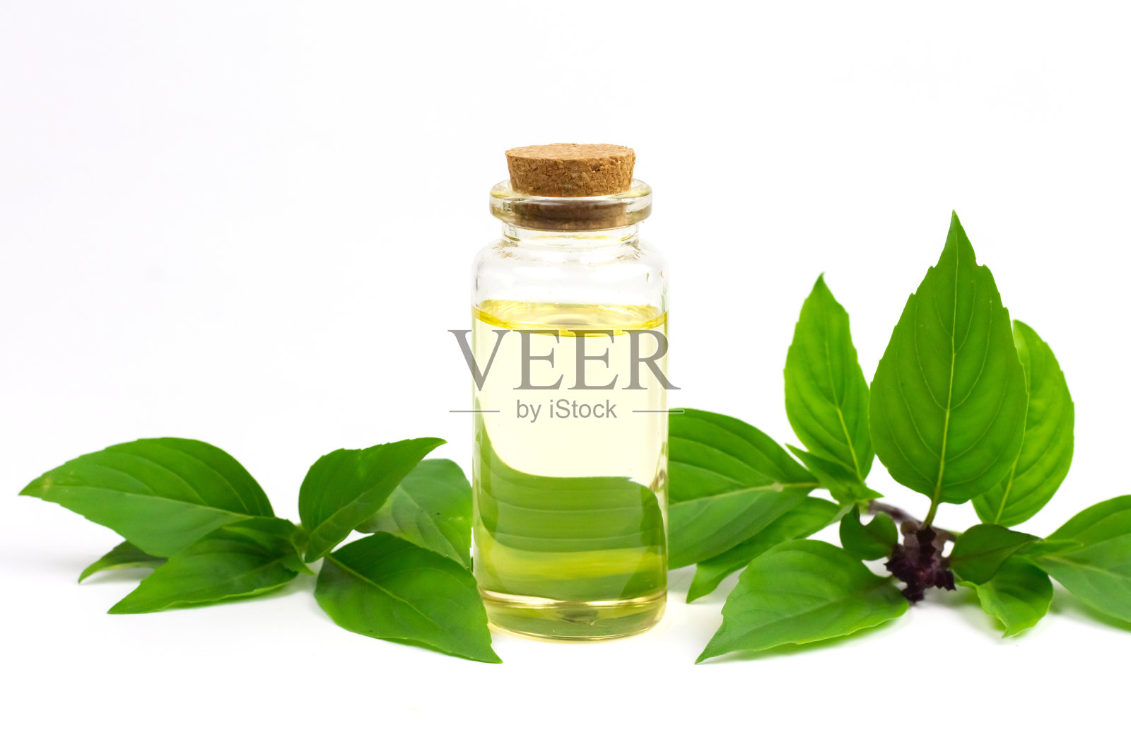 罗勒精油装入玻璃瓶，罗勒枝在白色背景上分离。照片摄影图片