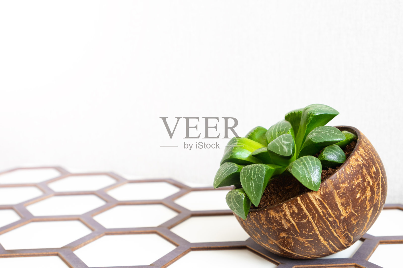 多汁的椰子锅上白色，关闭，复制空间。六边形的装饰。照片摄影图片