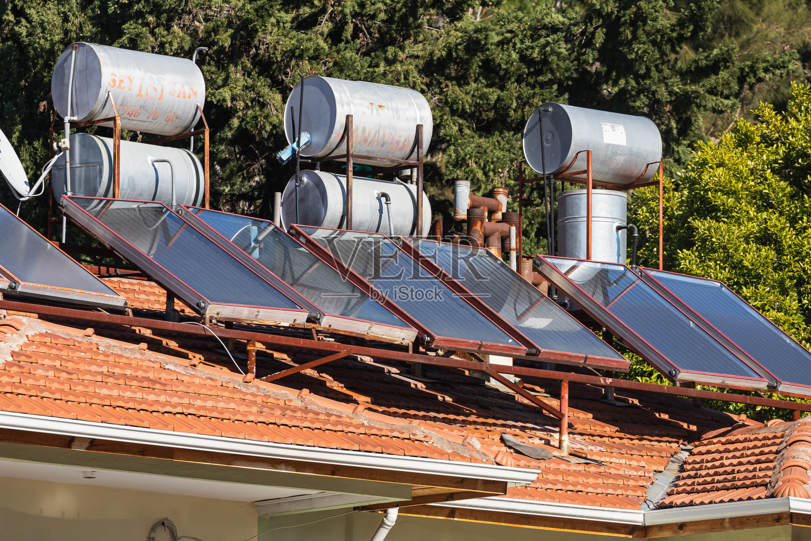 特写镜头照片摄影图片