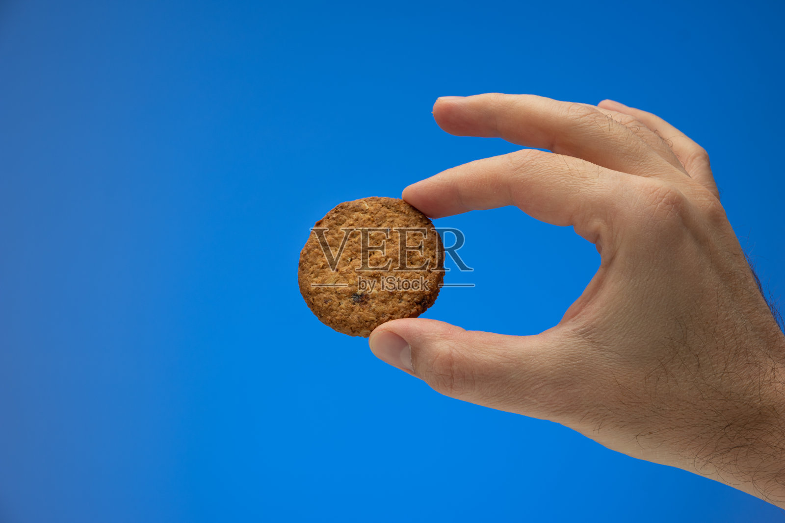 全谷物棕色饼干或饼干，由白人男性手拿。近景摄影，孤立在蓝色背景上照片摄影图片