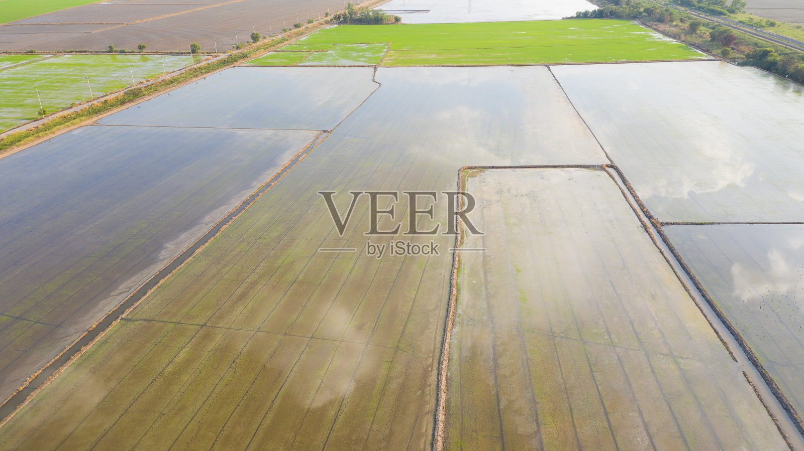 从无人机飞行的稻田与景观绿色格局的自然背景，俯视图稻田照片摄影图片