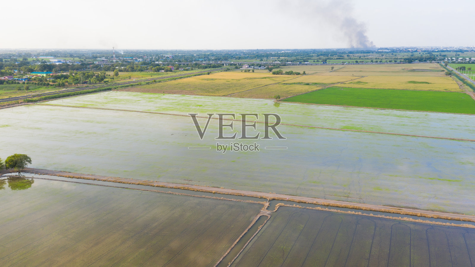 从无人机飞行的稻田与景观绿色格局的自然背景，俯视图稻田照片摄影图片