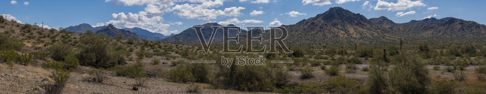 亚利桑那州埃斯特雷拉山区域公园的沙漠景观全景照片摄影图片