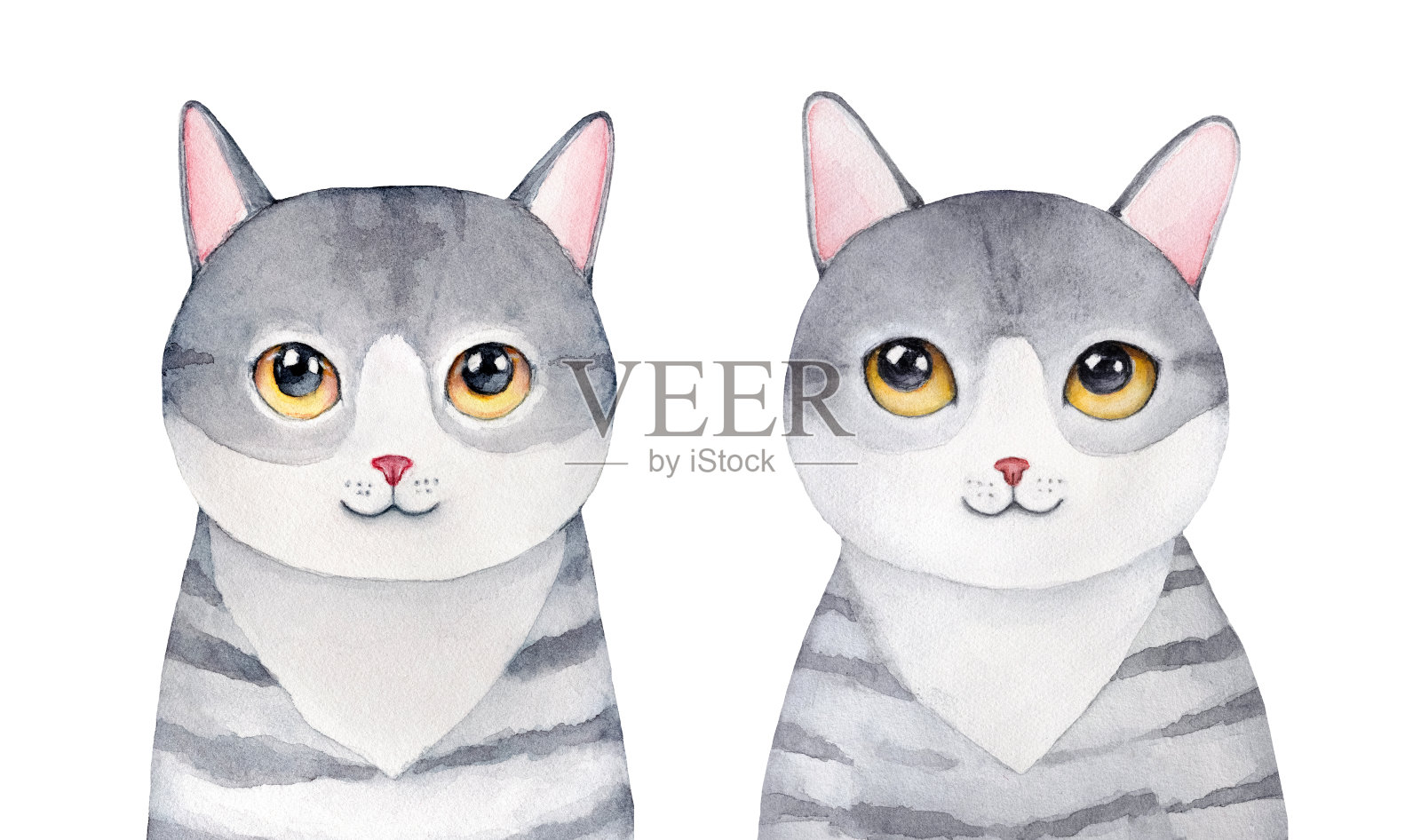 水彩插图集的两个可爱的小猫与不同的面部表情。插画图片素材