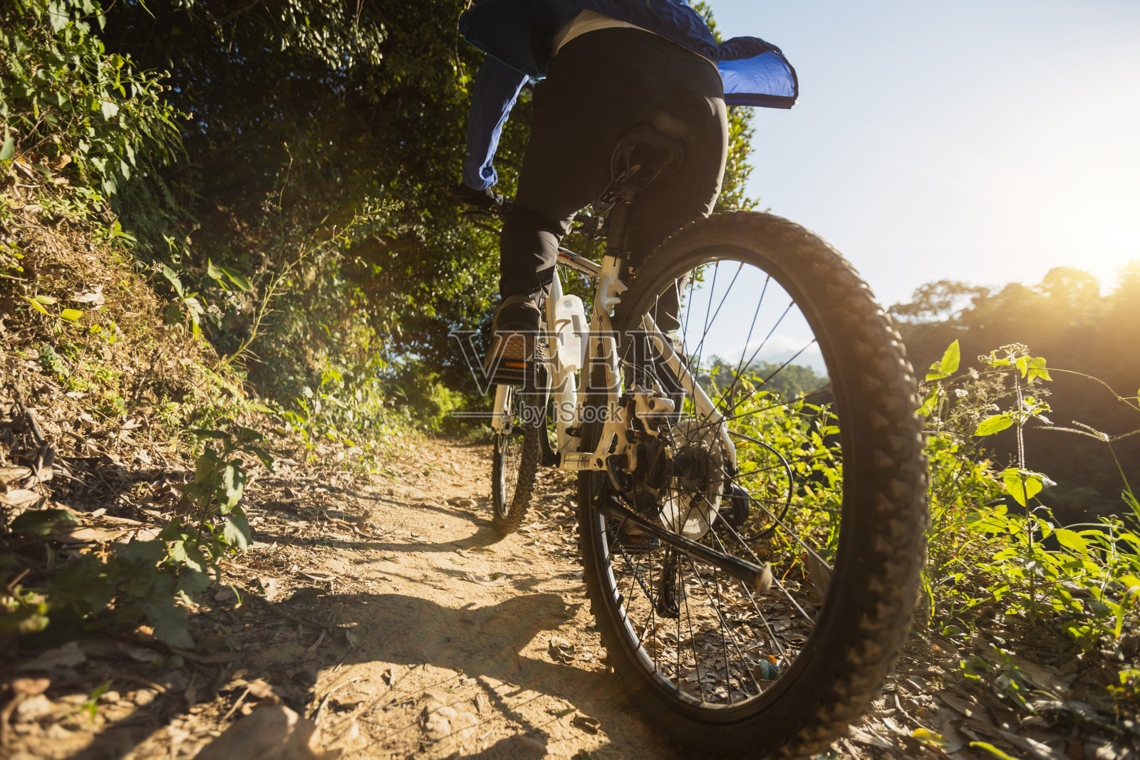 在日出森林小径上骑车照片摄影图片