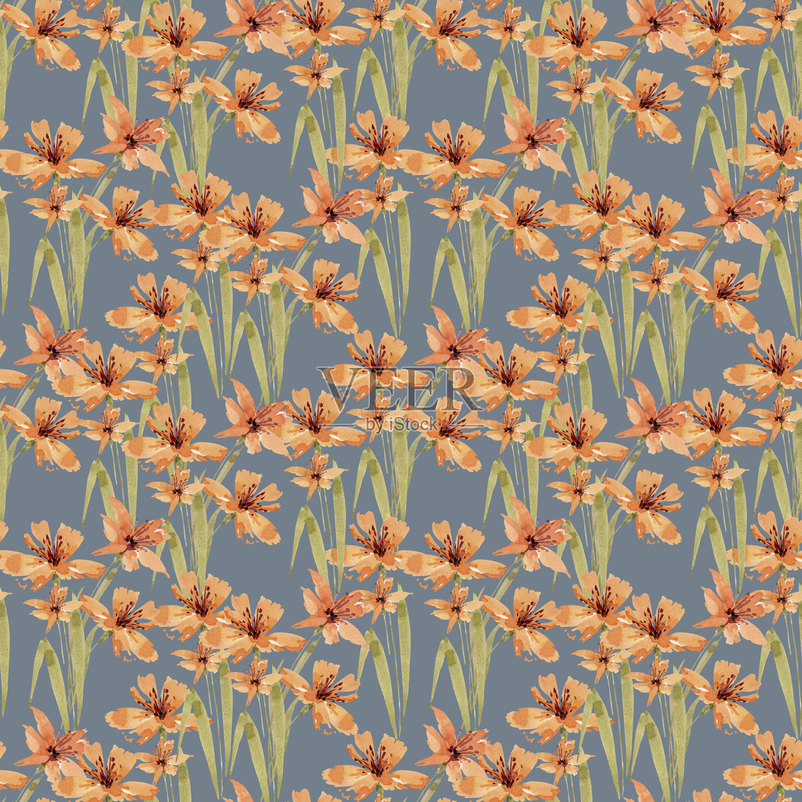 无缝水彩图案与橙色百合在蓝色背景，手绘。插画图片素材