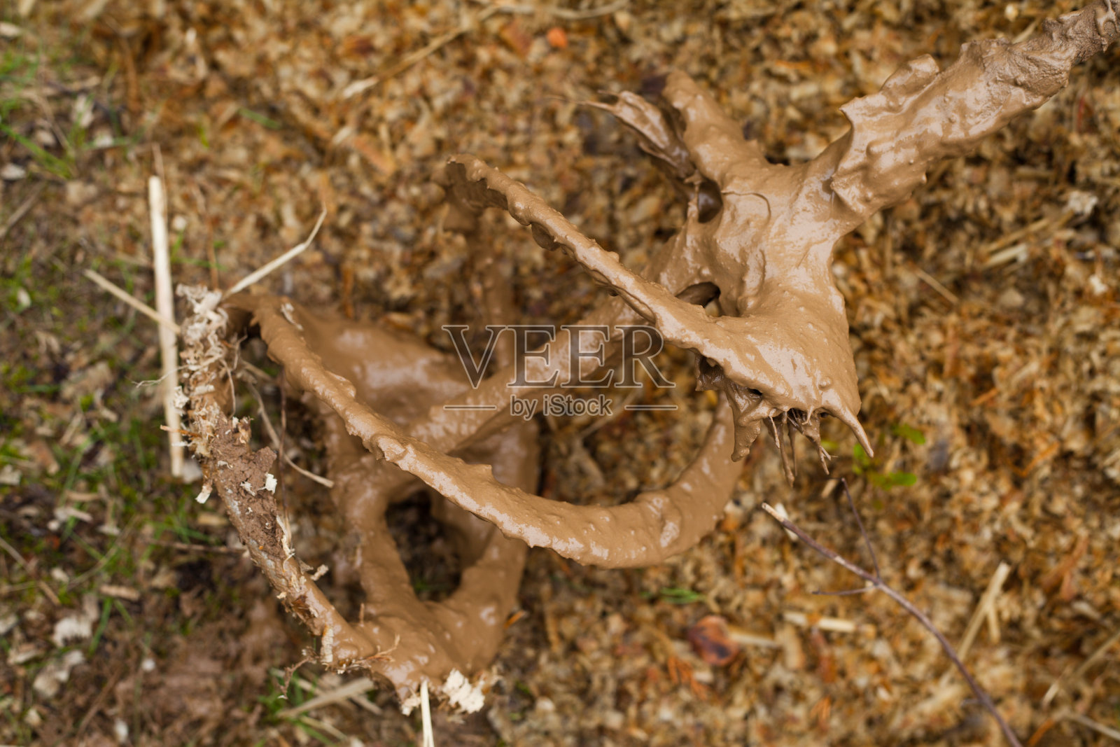 用稻草和粘土建造房屋-在建筑工地用混凝土搅拌机搅拌红粘土。传统建筑的古老技术。照片摄影图片