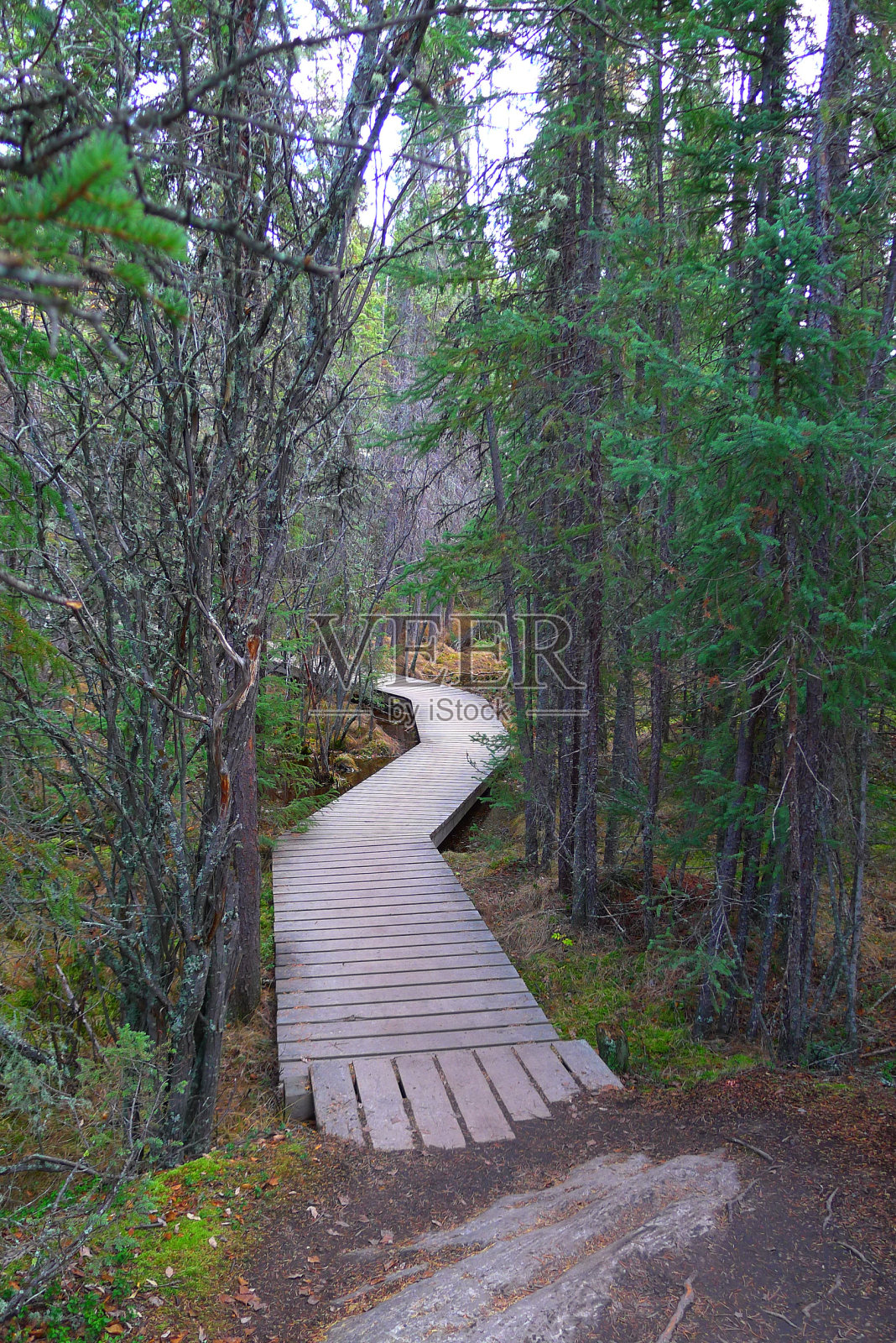 隐藏的湖泊和
卡梅隆河瀑布徒步旅行路线照片摄影图片