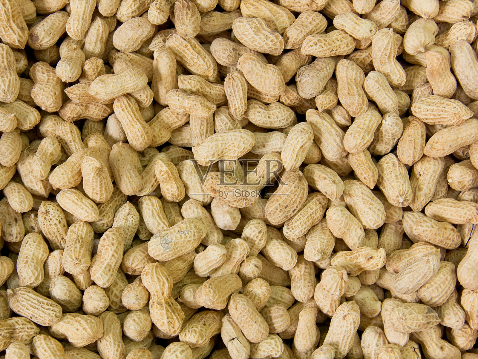 花生照片摄影图片