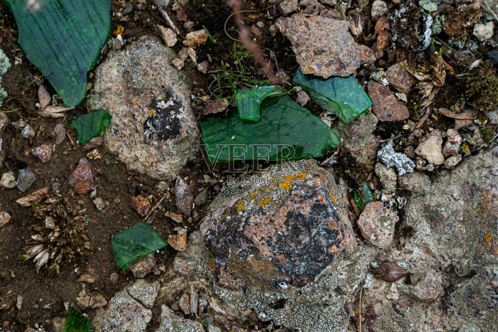 海底的纹理。珊瑚礁和珊瑚照片摄影图片