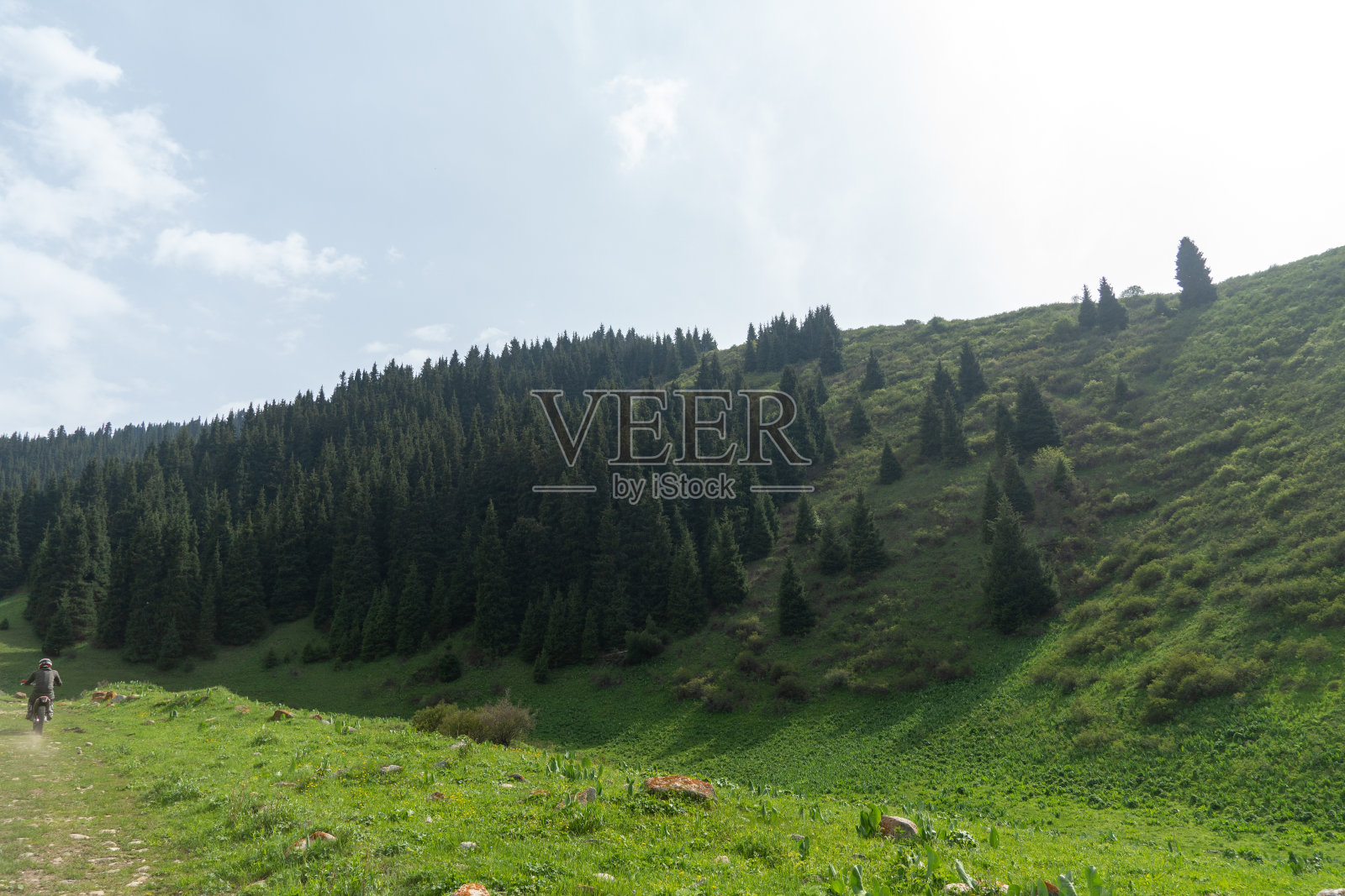 山脚下山谷里一望无际的大草原。俯瞰青山。山上，绿树成荫照片摄影图片