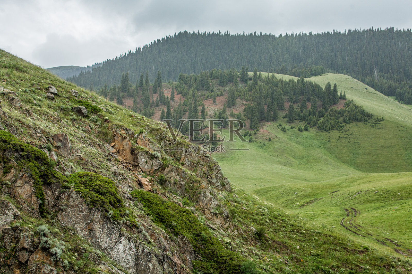 山脚下山谷里一望无际的大草原。俯瞰青山。山上，绿树成荫照片摄影图片