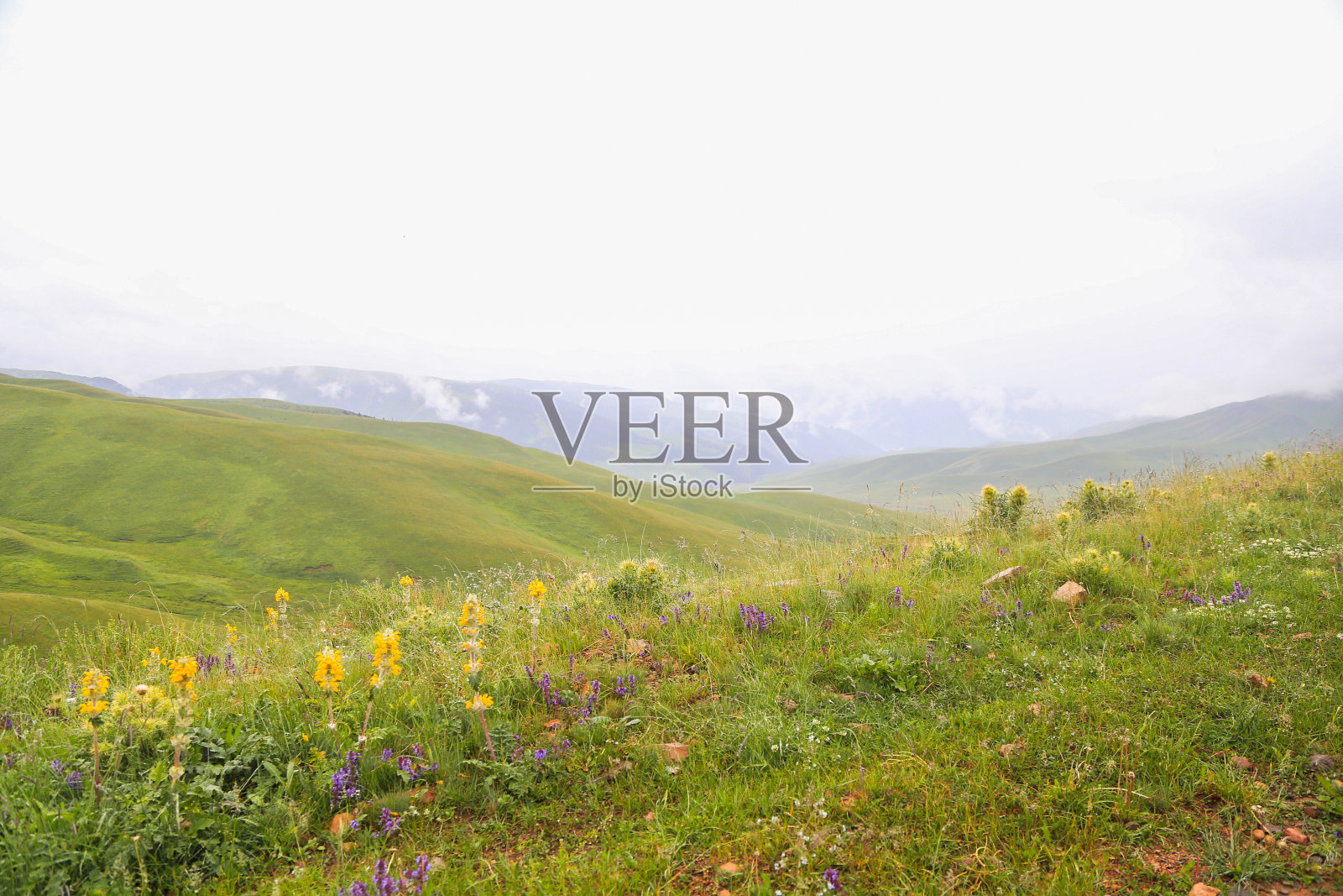 山脚下山谷里一望无际的大草原。俯瞰青山。山上，绿树成荫照片摄影图片