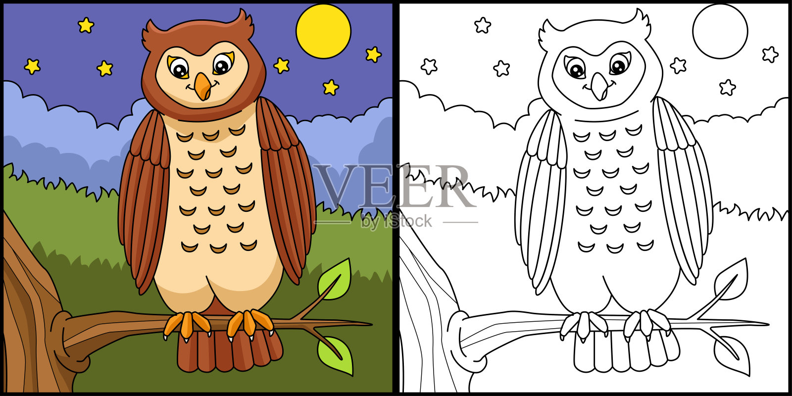 猫头鹰着色页彩色插图插画图片素材