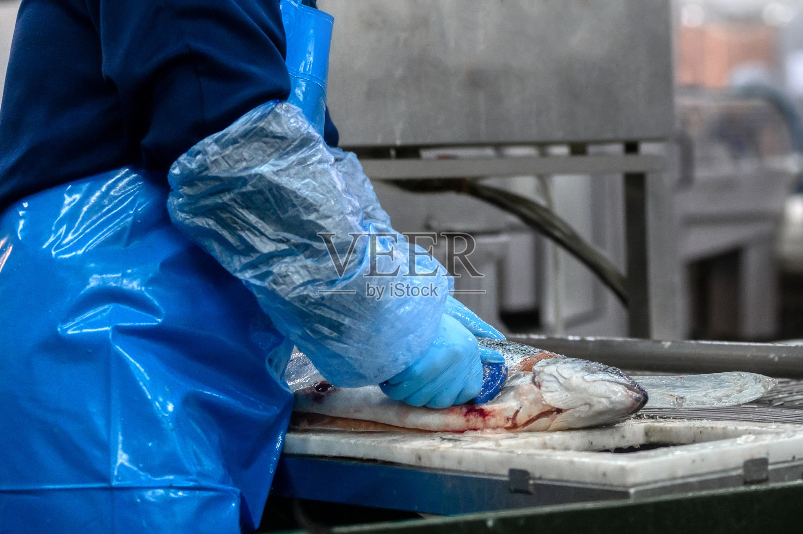 用刀切下鳟鱼的头照片摄影图片