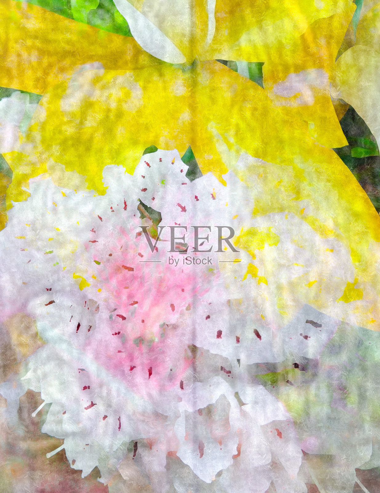 抽象的花卉照片摄影图片