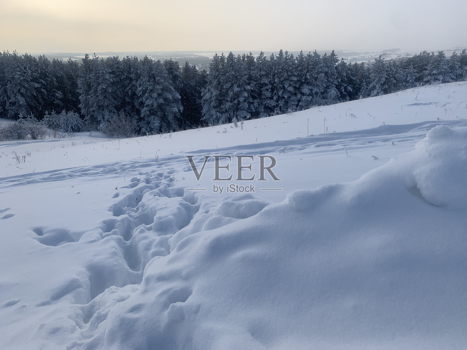 雪的风景。自然在冬天照片摄影图片