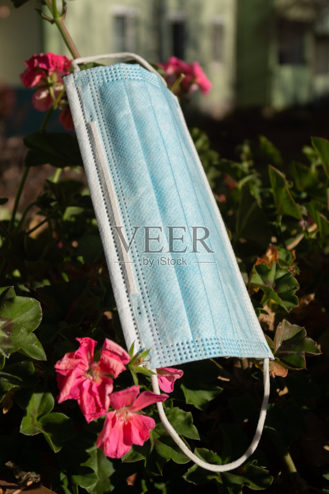 老面具挂在树上照片摄影图片