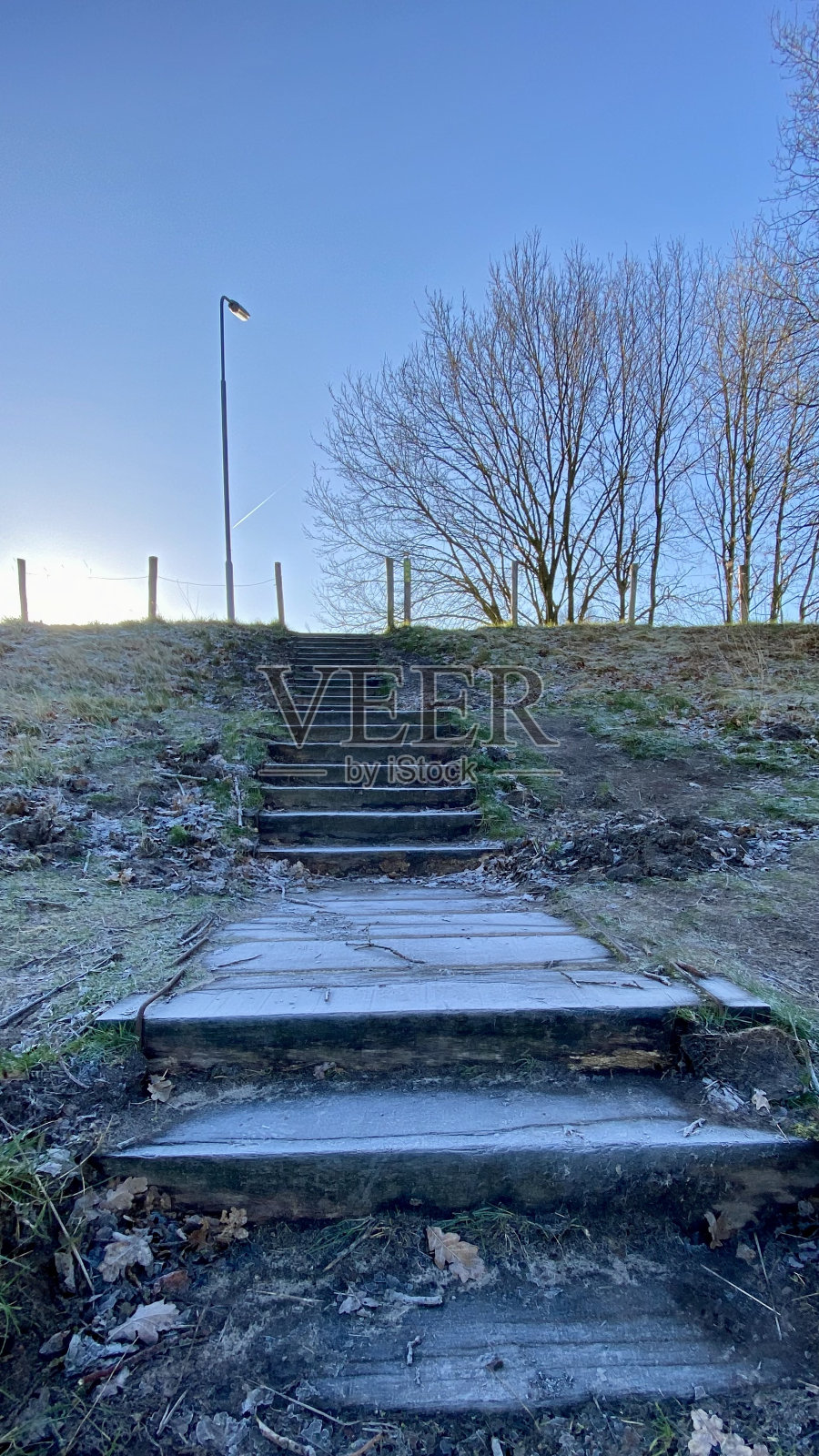 布拉班特的狂欢节照片摄影图片